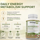 Berberine 11-in-1 Complex with ACV,Cinnamon,Chromium,Zinc - 120 Vegan Capsules