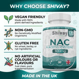 Shivay Herbals NAC N-Acetyl Cysteine 600mg - High Strength 120 Vegan Capsules (4 Month Supply) - UK Made