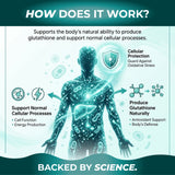 Shivay Herbals NAC N-Acetyl Cysteine 600mg - High Strength 120 Vegan Capsules (4 Month Supply) - UK Made