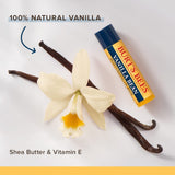 Burt’s Bees Vanilla Lip Balm 4.25g and Hand Salve 8.5g Cracker Gift Set