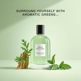 David Beckham Aromatic Greens Eau De Parfum 100ml | Fresh Herbal Woody Scent for Men