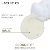 Joico Blonde Life Brightening Shampoo For Blonde Hair Nourish & Illuminate 300ml