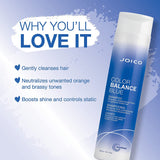 CJoico Color Balance Blue Shampoo Anti Orange for Brown Hair 300ml