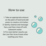 Lion Pair Acne Creamy Foam 80g – Japanese Skincare Face Wash for Acne