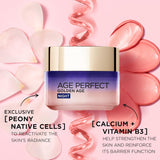 L'Oreal Paris Age Perfect Rosy Radiance Re-Invigorating Night Cream 50ml