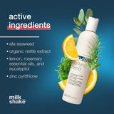 Milk Shake PURIFYING BLEND Shampoo For Scalp and Hair 300ml