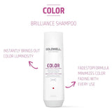 Goldwell Dualsenses Color Brilliance Shampoo 250ml - Luminosity For Hair 250ml